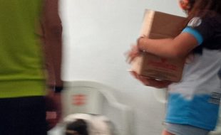 JANEIRO (12)